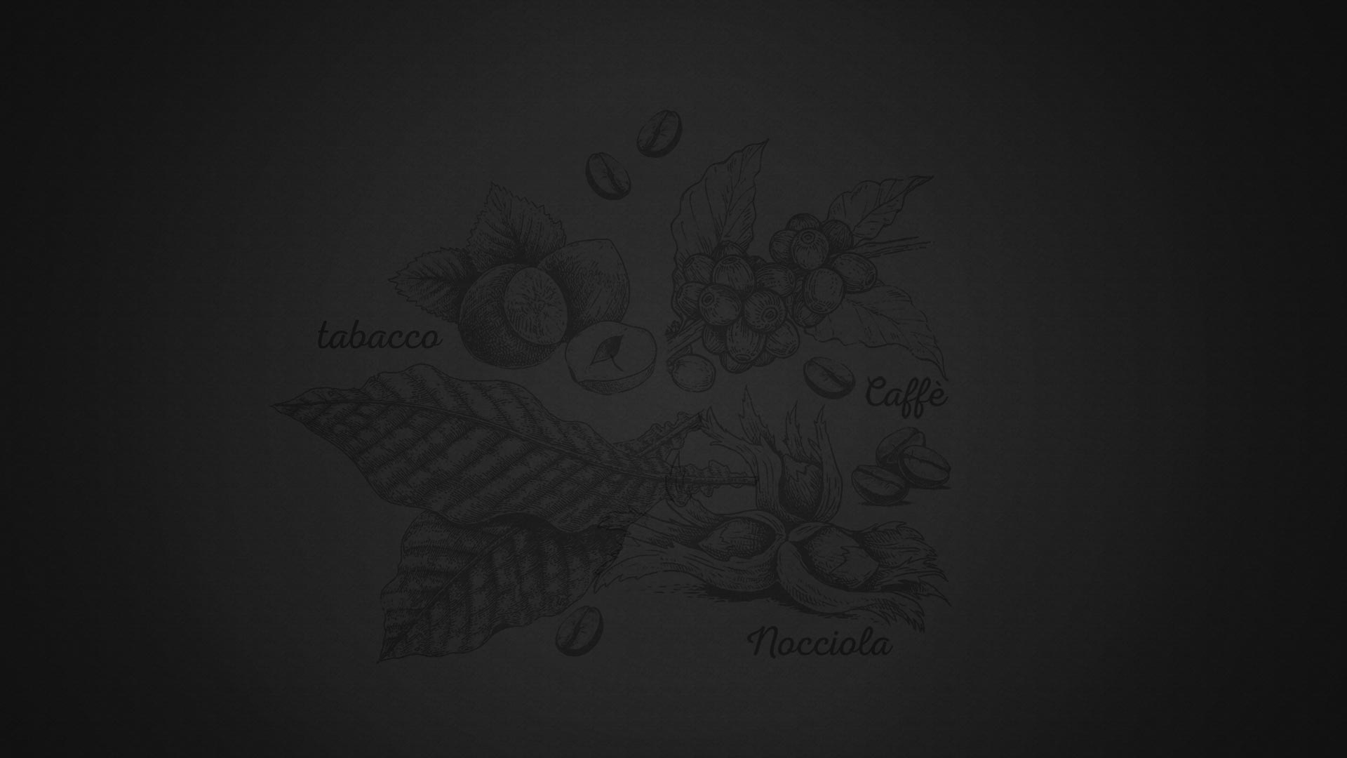 fondo-janu Fondo pagina Janù Montepulciano d'Abruzzo DOC Jasci&Marchesani