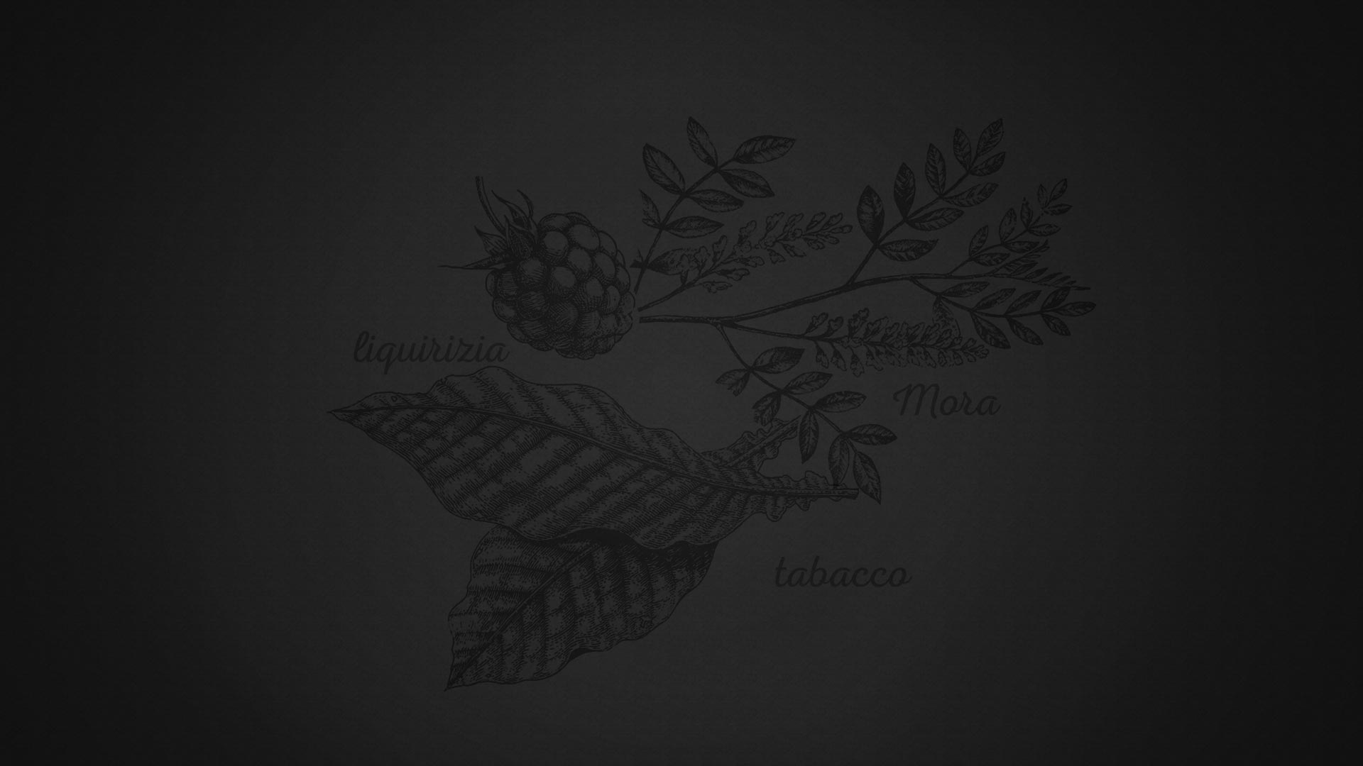 fondo-rudhir-montepulciano Fondo pagina Rudhir Montepulciano d'Abruzzo DOC Jasci&Marchesani